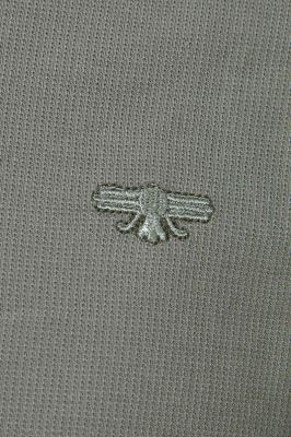 پولوشرت Parshan